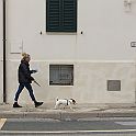 Walking with my dog (4)
